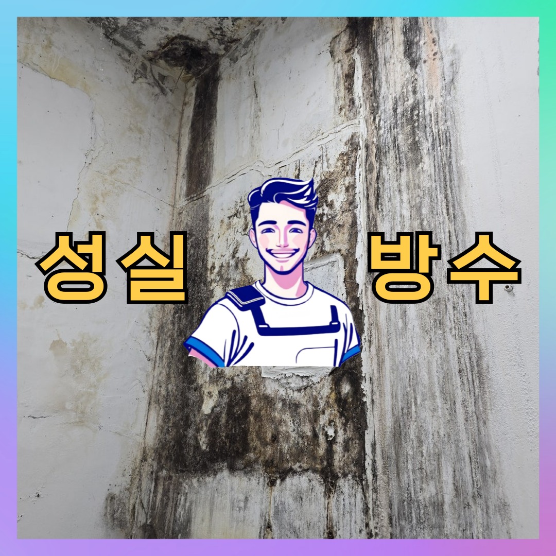 성실방수 대표 썸네일