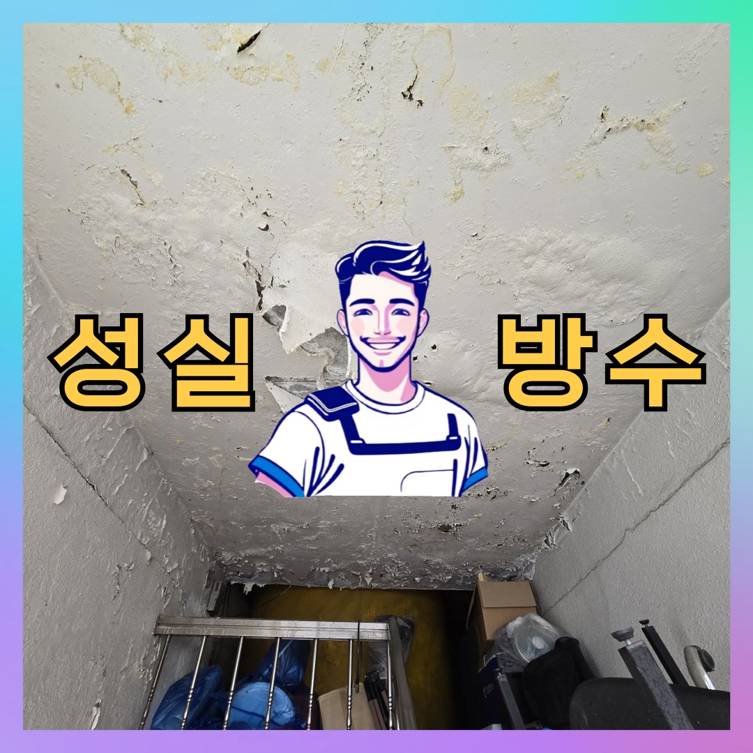 성실방수 대표 썸네일