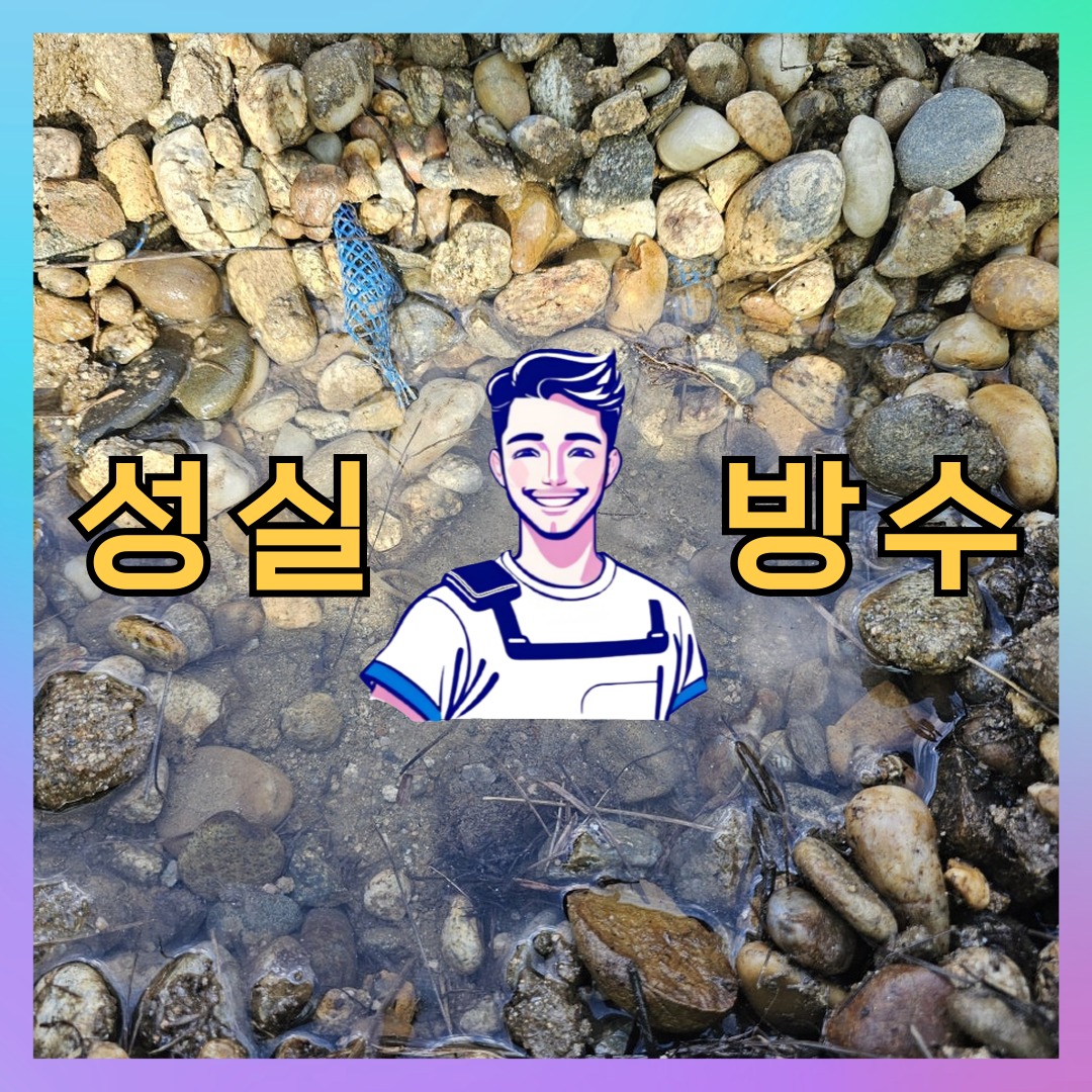 성실방수 대표 썸네일