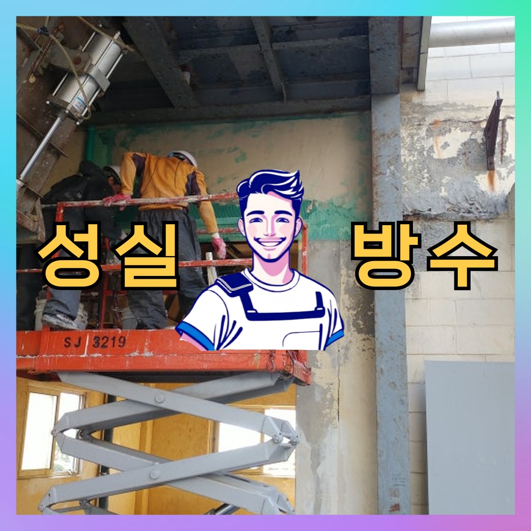 경기 고양시 덕양구 주교동 다세대 빌라 옥상방수 시공 전 상태 - 성실방수