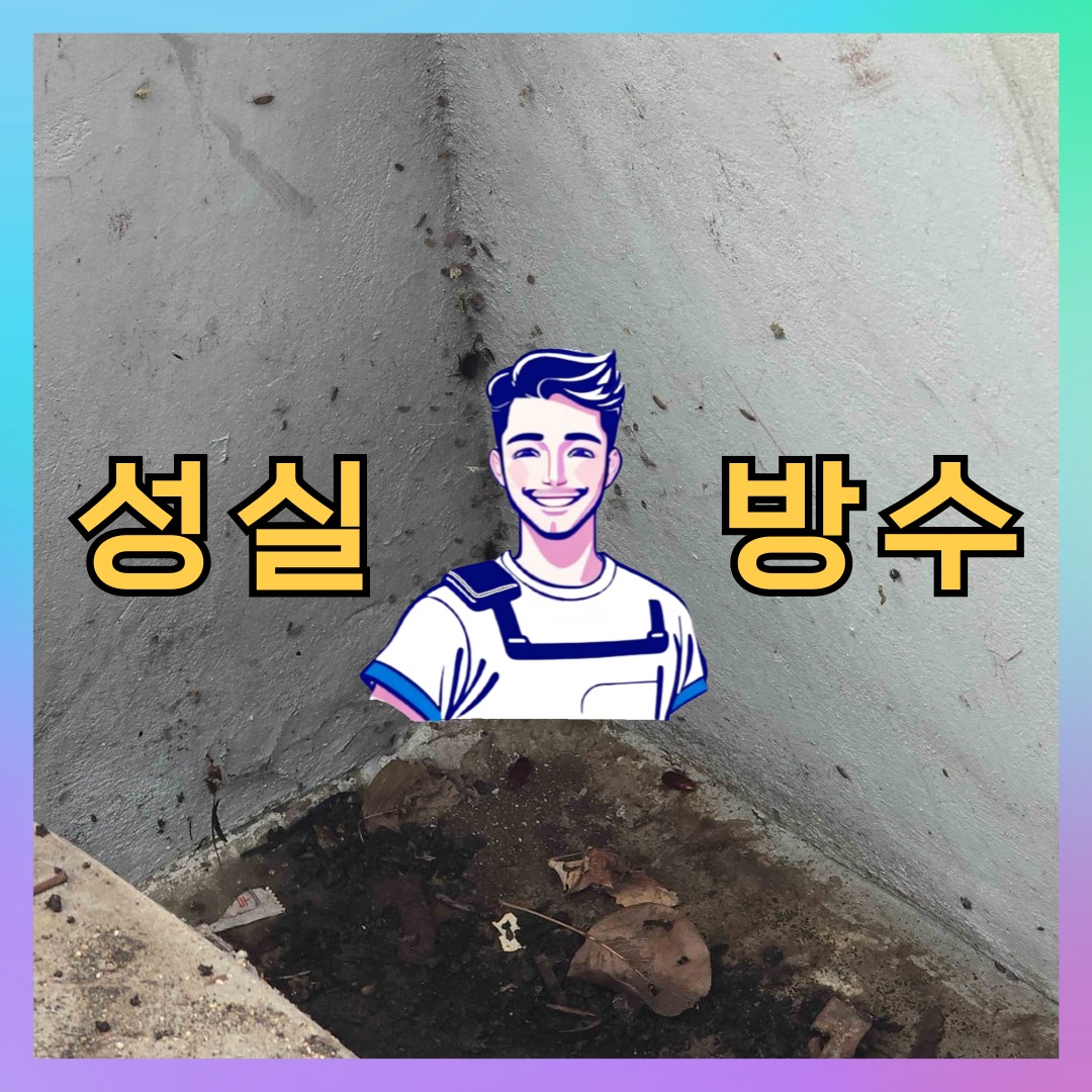 인천 중구 중산동 다세대 빌라 옥상방수 시공 전 상태 - 성실방수